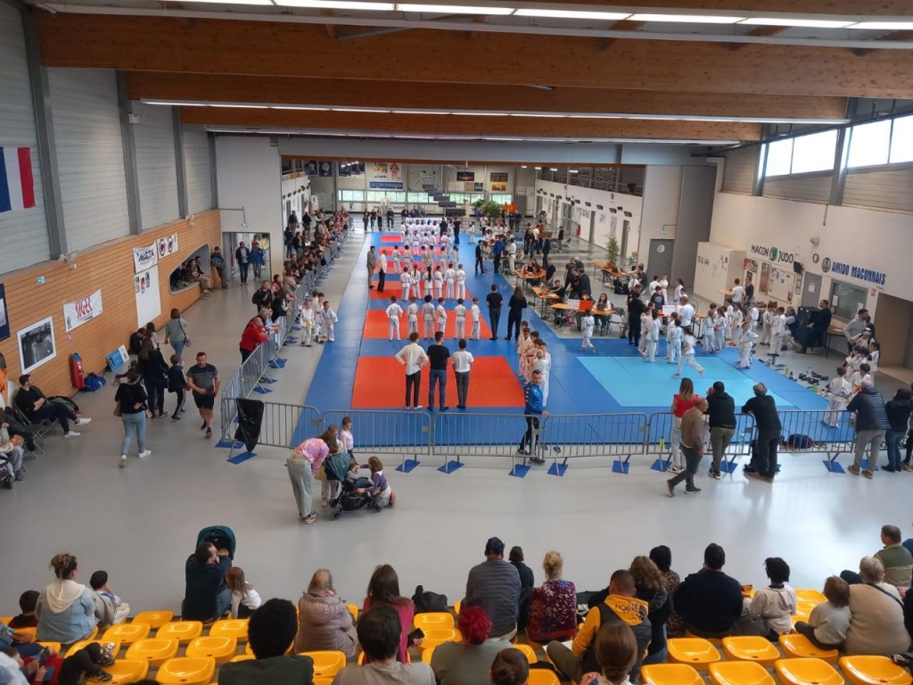 Image de l'actu 'Petits Tigres _ 2ème manche - 12 avril 2025 à Mâcon'